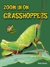 Cover image for Zoom In on Grasshoppers